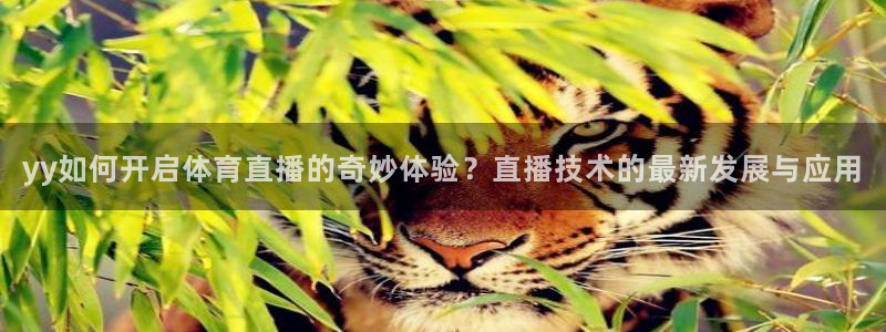 yy如何开启体育直播的奇妙体验？直播技术的最新发展与应用