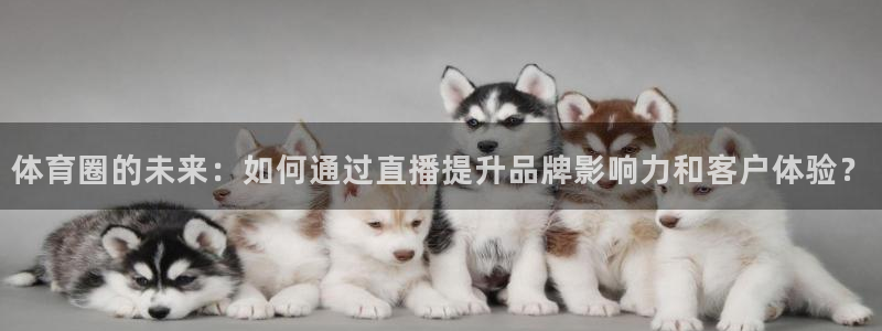 体育圈的未来：如何通过直播提升品牌影响力和客户体验？