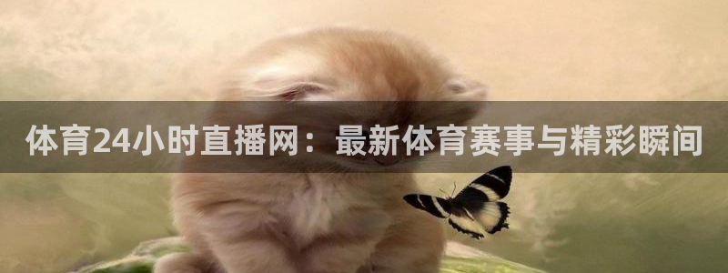 体育24小时直播网：最新体育赛事与精彩瞬间