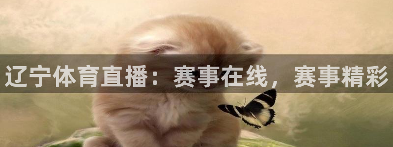 辽宁体育直播：赛事在线，赛事精彩