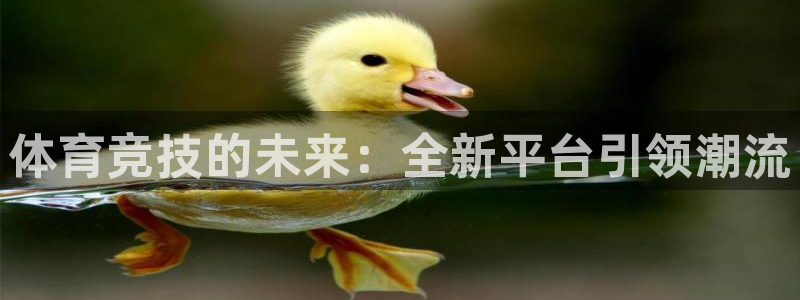 体育竞技的未来：全新平台引领潮流