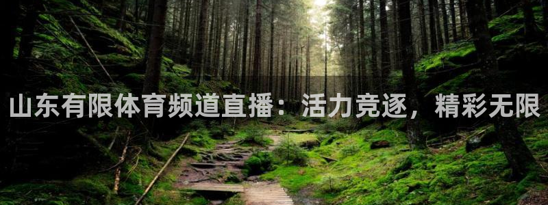 山东有限体育频道直播：活力竞逐，精彩无限
