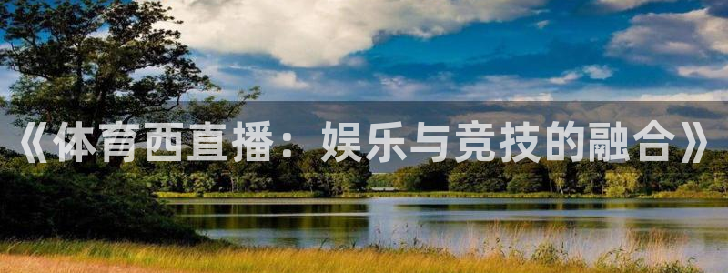 《体育西直播：娱乐与竞技的融合》