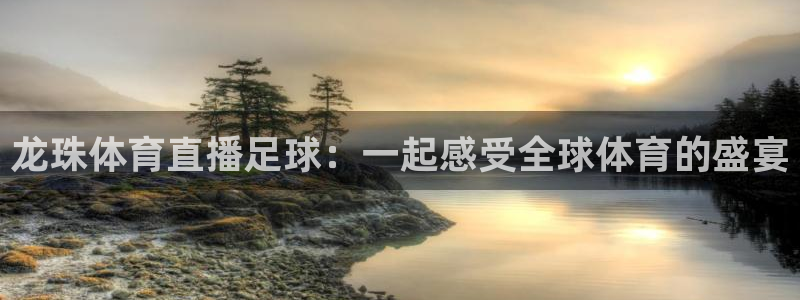 龙珠体育直播足球：一起感受全球体育的盛宴