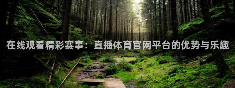 在线观看精彩赛事：直播体育官网平台的优势与乐趣