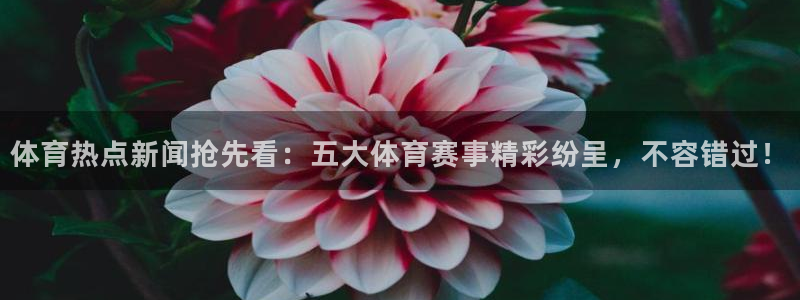 体育热点新闻抢先看：五大体育赛事精彩纷呈，不容错过！