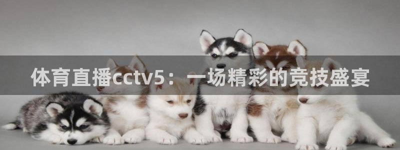 体育直播cctv5：一场精彩的竞技盛宴
