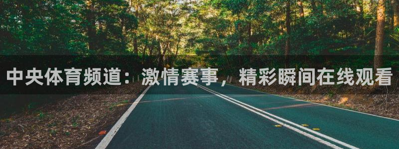 中央体育频道：激情赛事，精彩瞬间在线观看
